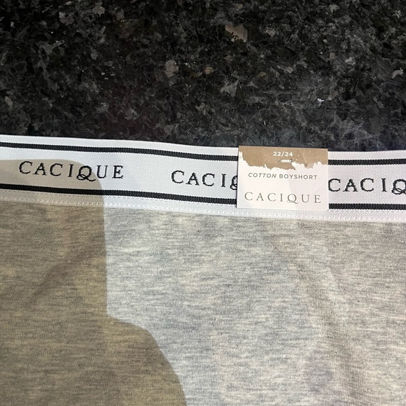 Cacique Light Gray Bottoms - Picture 3 of 6